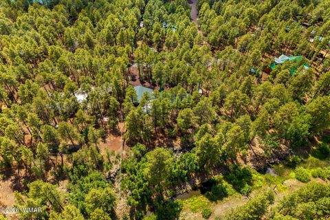 Tiny photo for 328 W Billy Creek Drive, Lakeside, AZ 85929 (MLS # 260390)