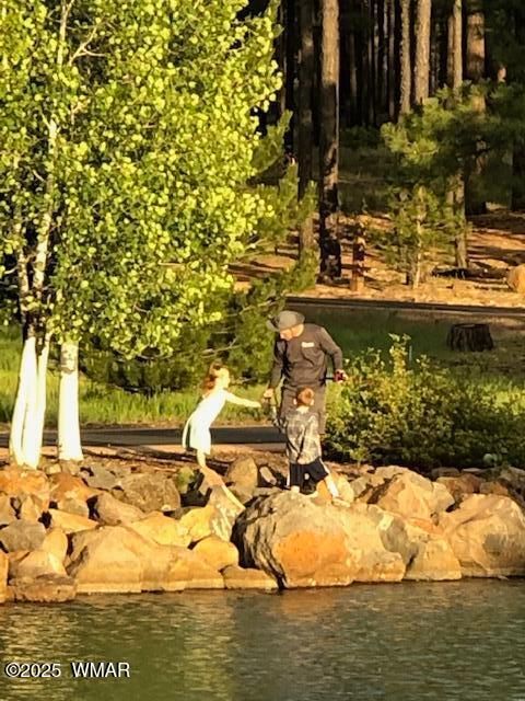 Tiny photo for 2457 N Porter Mountain Road, Lakeside, AZ 85929 (MLS # 254847)