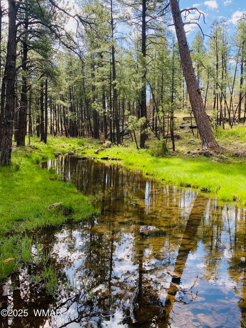 Tiny photo for 2457 N Porter Mountain Road, Lakeside, AZ 85929 (MLS # 254847)