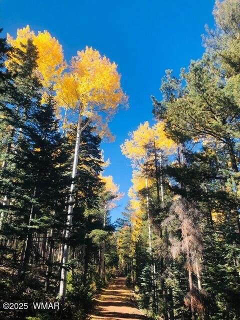 Tiny photo for 2457 N Porter Mountain Road, Lakeside, AZ 85929 (MLS # 254847)