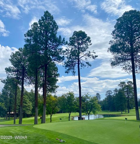 Tiny photo for 2457 N Porter Mountain Road, Lakeside, AZ 85929 (MLS # 254847)