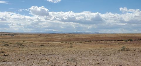 Tiny photo for 49 County Road 6032, Saint Johns, AZ 85936 (MLS # 258155)