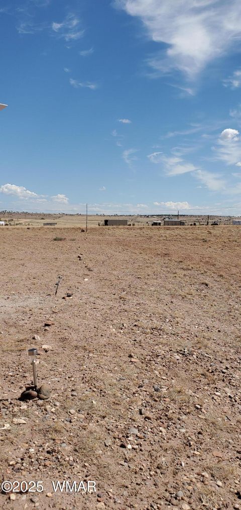 Tiny photo for 49 County Road 6032, Saint Johns, AZ 85936 (MLS # 258155)