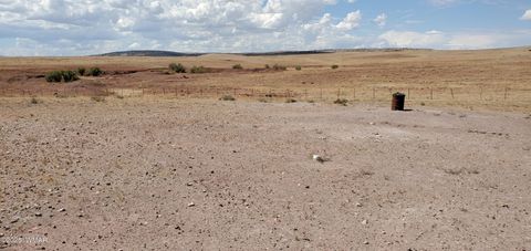 Tiny photo for 49 County Road 6032, Saint Johns, AZ 85936 (MLS # 258155)