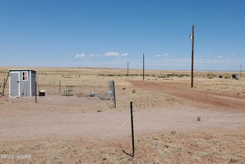 Tiny photo for 49 County Road 6032, Saint Johns, AZ 85936 (MLS # 258155)