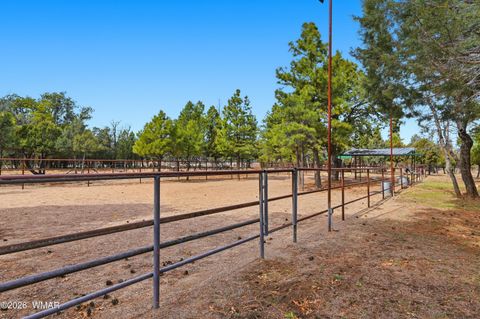 Tiny photo for 4941 Saddle Blanket Circle, Happy Jack, AZ 86024 (MLS # 259613)