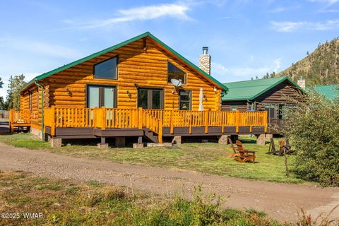 Tiny photo for 44 Main Street #175, Greer, AZ 85927 (MLS # 255599)