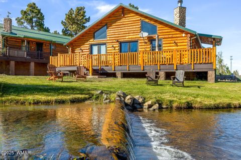 Photo of 44 Main Street #175, Greer, AZ 85927 (MLS # 255599)