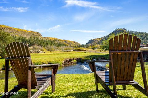 Tiny photo for 44 Main Street #175, Greer, AZ 85927 (MLS # 255599)