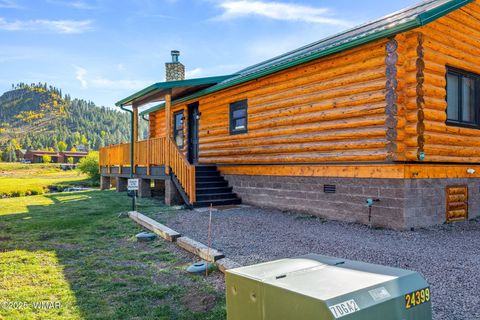 Tiny photo for 44 Main Street #175, Greer, AZ 85927 (MLS # 255599)