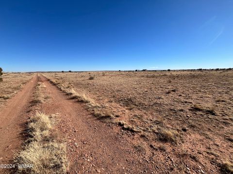 Tiny photo for 7545 Maple Street, Snowflake, AZ 85937 (MLS # 253826)