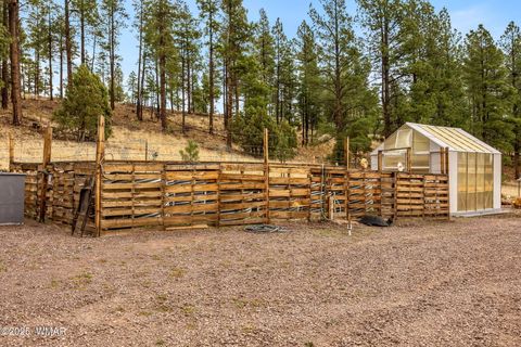 Tiny photo for 28 County Rd 2310, Alpine, AZ 85920 (MLS # 256594)