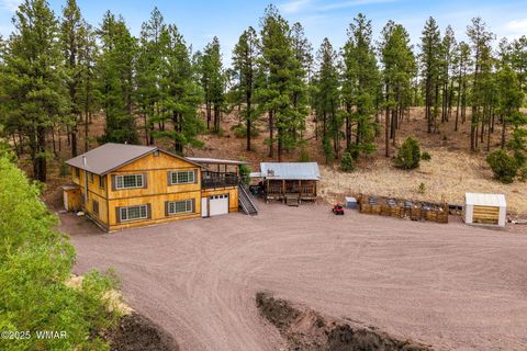 Photo of 28 County Rd 2310, Alpine, AZ 85920 (MLS # 256594) Photo of 28 County Rd 2310, Alpine, AZ 85920 (MLS # 256594)