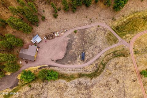 Tiny photo for 28 County Rd 2310, Alpine, AZ 85920 (MLS # 256594)