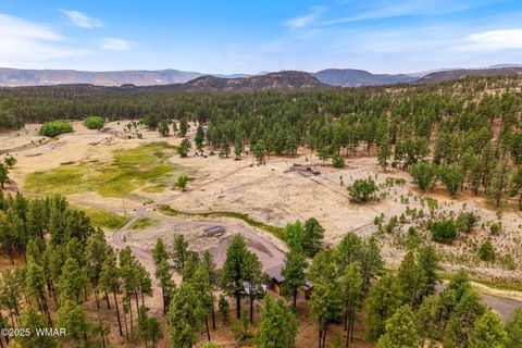 Tiny photo for 28 County Rd 2310, Alpine, AZ 85920 (MLS # 256594)