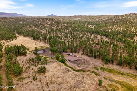Tiny photo for 28 County Rd 2310, Alpine, AZ 85920 (MLS # 256594)