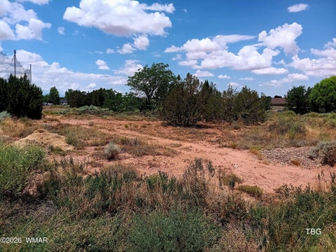 Tiny photo for 96 N Lyon Gate Drive, Snowflake, AZ 85937 (MLS # 262436)