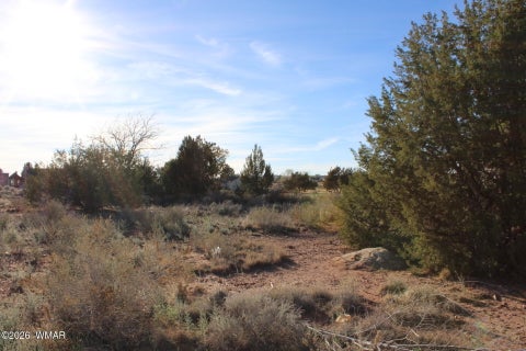 Tiny photo for 96 N Lyon Gate Drive, Snowflake, AZ 85937 (MLS # 262436)