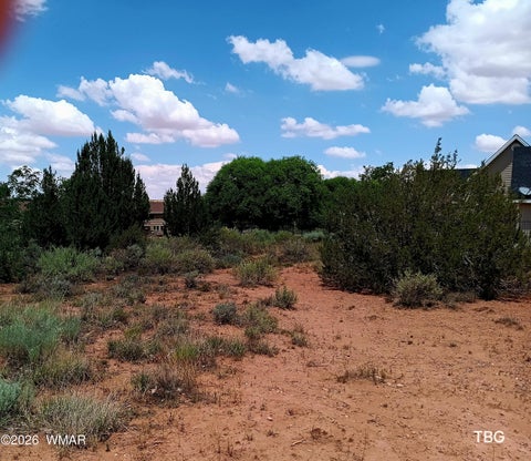 Tiny photo for 96 N Lyon Gate Drive, Snowflake, AZ 85937 (MLS # 262436)