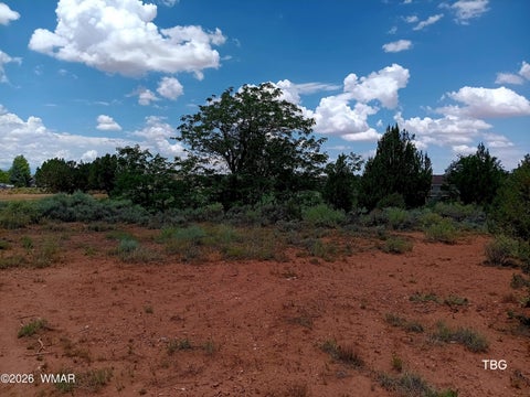 Tiny photo for 96 N Lyon Gate Drive, Snowflake, AZ 85937 (MLS # 262436)