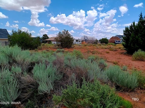 Photo of 96 N Lyon Gate Drive, Snowflake, AZ 85937 (MLS # 262436)