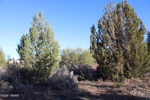 Tiny photo for 96 N Lyon Gate Drive, Snowflake, AZ 85937 (MLS # 262436)