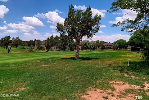 Tiny photo for 96 N Lyon Gate Drive, Snowflake, AZ 85937 (MLS # 262436)