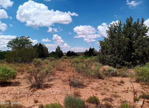 Tiny photo for 96 N Lyon Gate Drive, Snowflake, AZ 85937 (MLS # 262436)