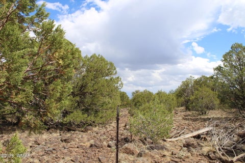 Tiny photo for 96 N Lyon Gate Drive, Snowflake, AZ 85937 (MLS # 262436)