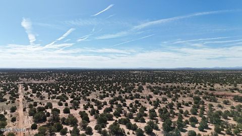 Tiny photo for 1 N9218 and 9234 Red River, Concho, AZ 85924 (MLS # 259259)