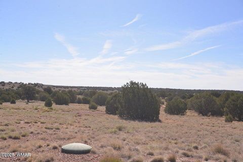 Photo of 1 N9218 and 9234 Red River, Concho, AZ 85924 (MLS # 259259)
