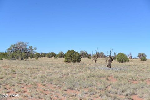 Tiny photo for 1 N9218 and 9234 Red River, Concho, AZ 85924 (MLS # 259259)