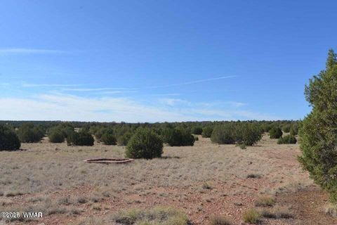 Tiny photo for 1 N9218 and 9234 Red River, Concho, AZ 85924 (MLS # 259259)