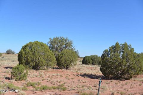 Tiny photo for 1 N9218 and 9234 Red River, Concho, AZ 85924 (MLS # 259259)