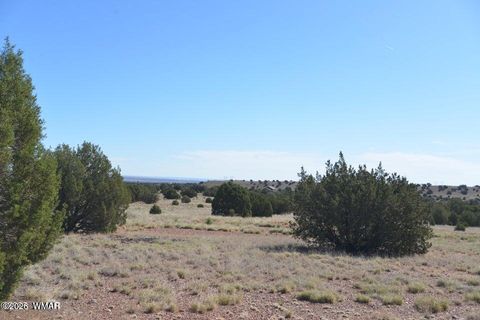 Tiny photo for 1 N9218 and 9234 Red River, Concho, AZ 85924 (MLS # 259259)