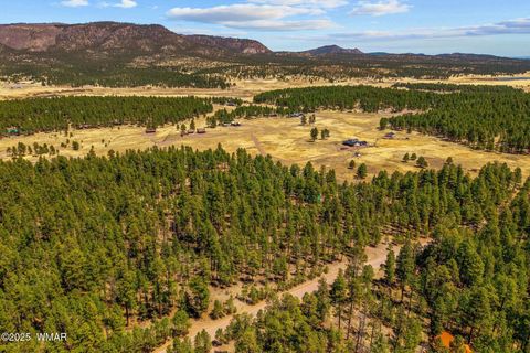 Tiny photo for 61 Co Rd 2266, Alpine, AZ 85920 (MLS # 255682)