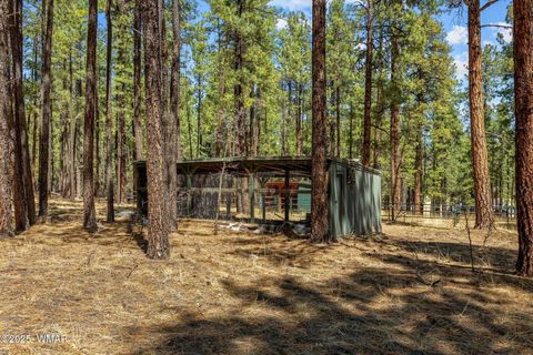 Tiny photo for 61 Co Rd 2266, Alpine, AZ 85920 (MLS # 255682)