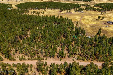 Tiny photo for 61 Co Rd 2266, Alpine, AZ 85920 (MLS # 255682)