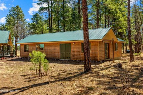 Tiny photo for 61 Co Rd 2266, Alpine, AZ 85920 (MLS # 255682)