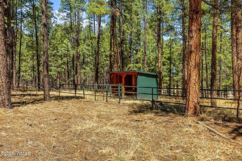 Tiny photo for 61 Co Rd 2266, Alpine, AZ 85920 (MLS # 255682)