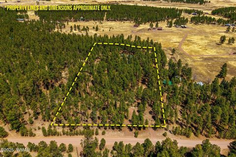 Tiny photo for 61 Co Rd 2266, Alpine, AZ 85920 (MLS # 255682)