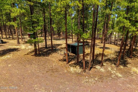 Tiny photo for 61 Co Rd 2266, Alpine, AZ 85920 (MLS # 255682)