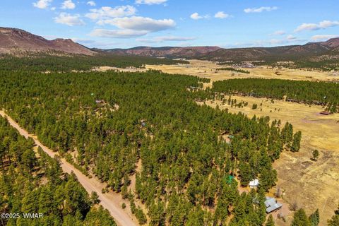 Tiny photo for 61 Co Rd 2266, Alpine, AZ 85920 (MLS # 255682)