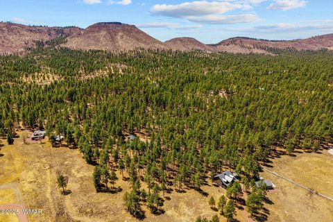Tiny photo for 61 Co Rd 2266, Alpine, AZ 85920 (MLS # 255682)