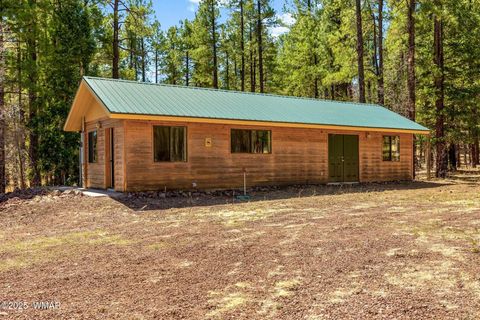 Tiny photo for 61 Co Rd 2266, Alpine, AZ 85920 (MLS # 255682)