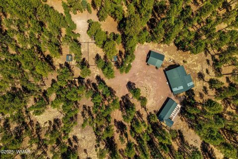 Tiny photo for 61 Co Rd 2266, Alpine, AZ 85920 (MLS # 255682)
