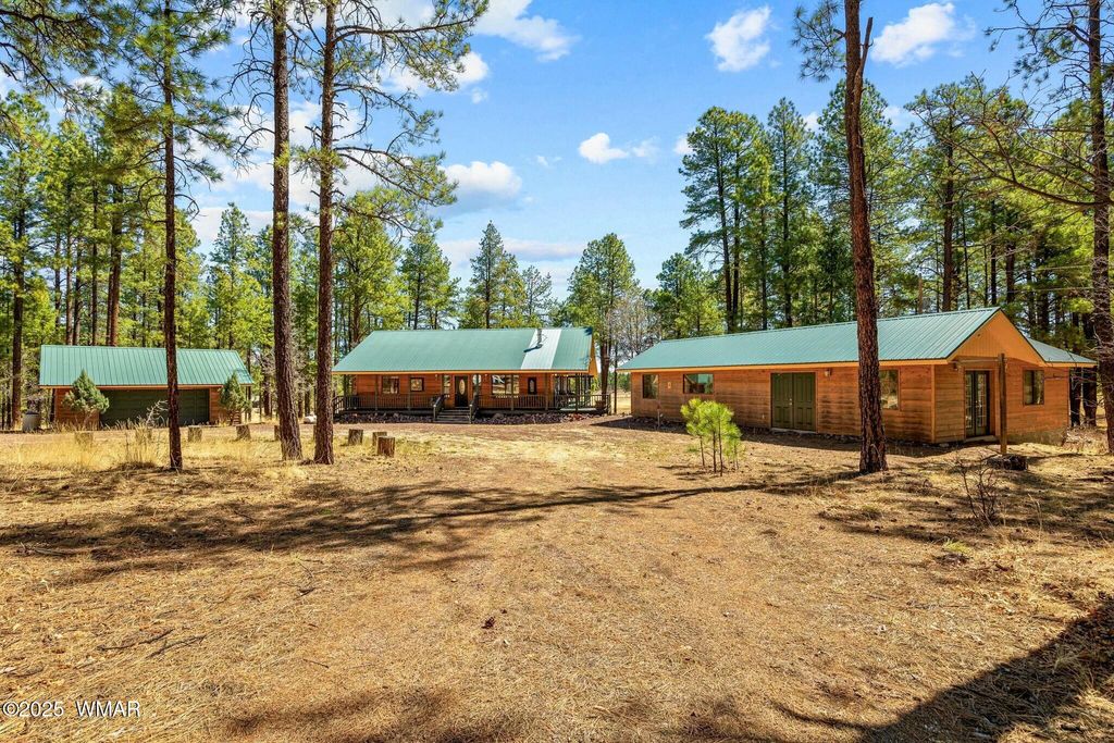 Photo for 61 Co Rd 2266, Alpine, AZ 85920 (MLS # 255682)