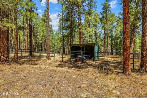 Tiny photo for 61 Co Rd 2266, Alpine, AZ 85920 (MLS # 255682)