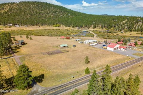 Tiny photo for 21 N1014, Greer, AZ 85927 (MLS # 257594)