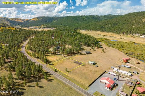 Tiny photo for 21 N1014, Greer, AZ 85927 (MLS # 257594)